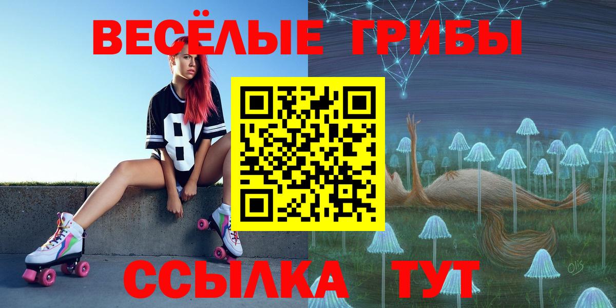 Галлюциногенные грибы мицелий Новозыбков