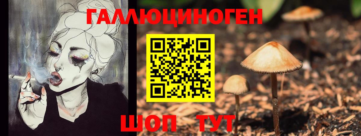 Галлюциногенные грибы мицелий  Псилоцибиновые грибы прущие грибы  Вход с VPN  Новозыбков 